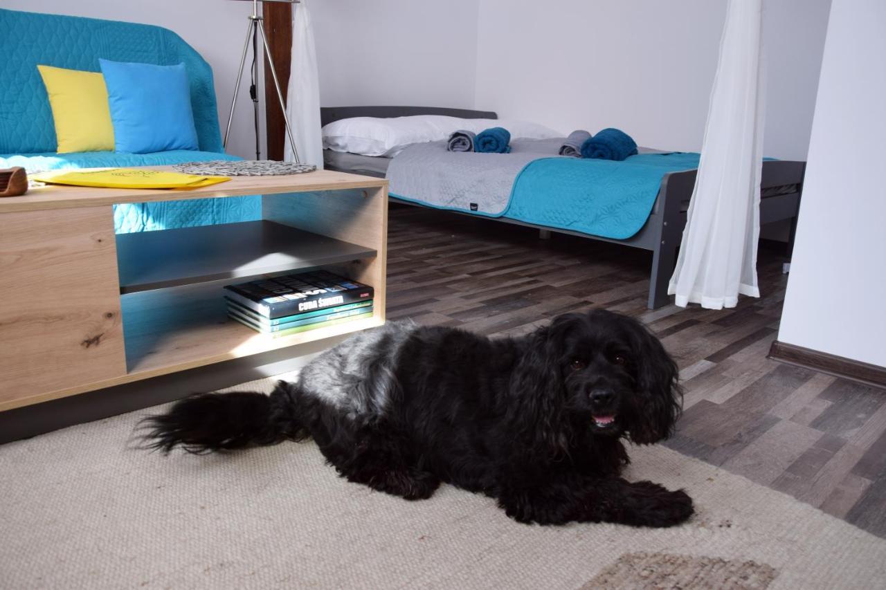 Apartament Górnicza w Kowarach Kowary Zewnętrze zdjęcie