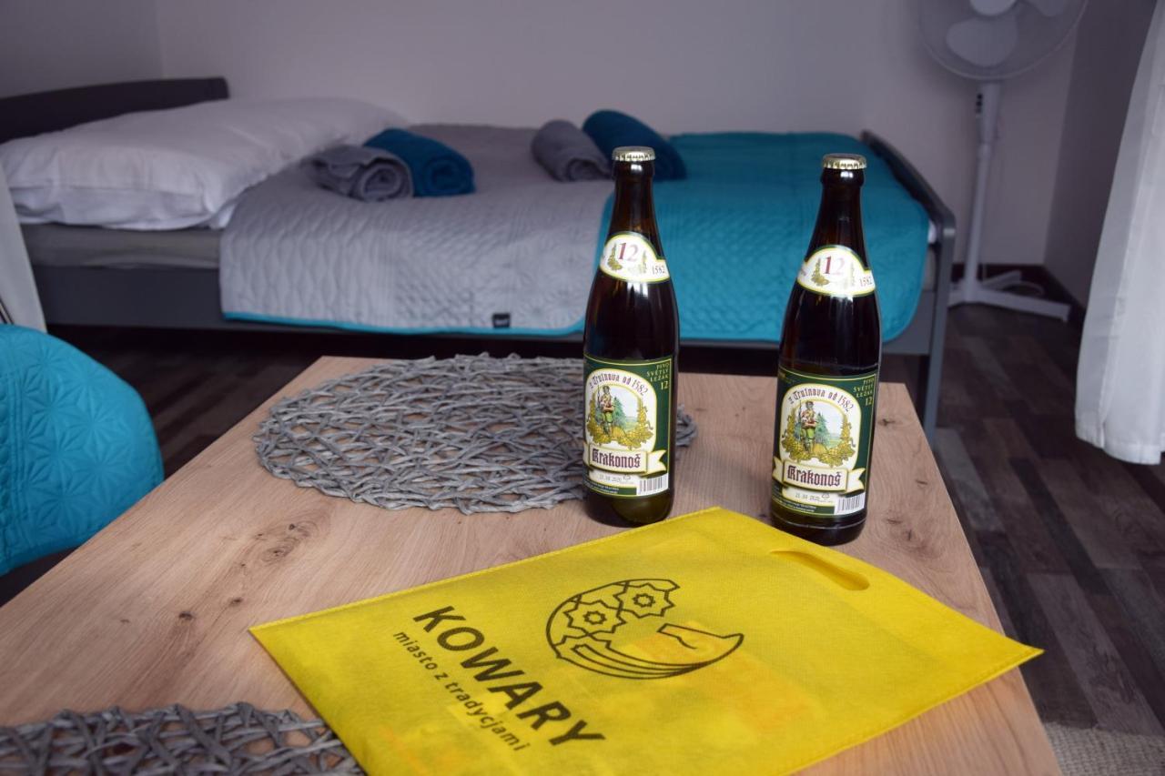 Apartament Górnicza w Kowarach Kowary Zewnętrze zdjęcie